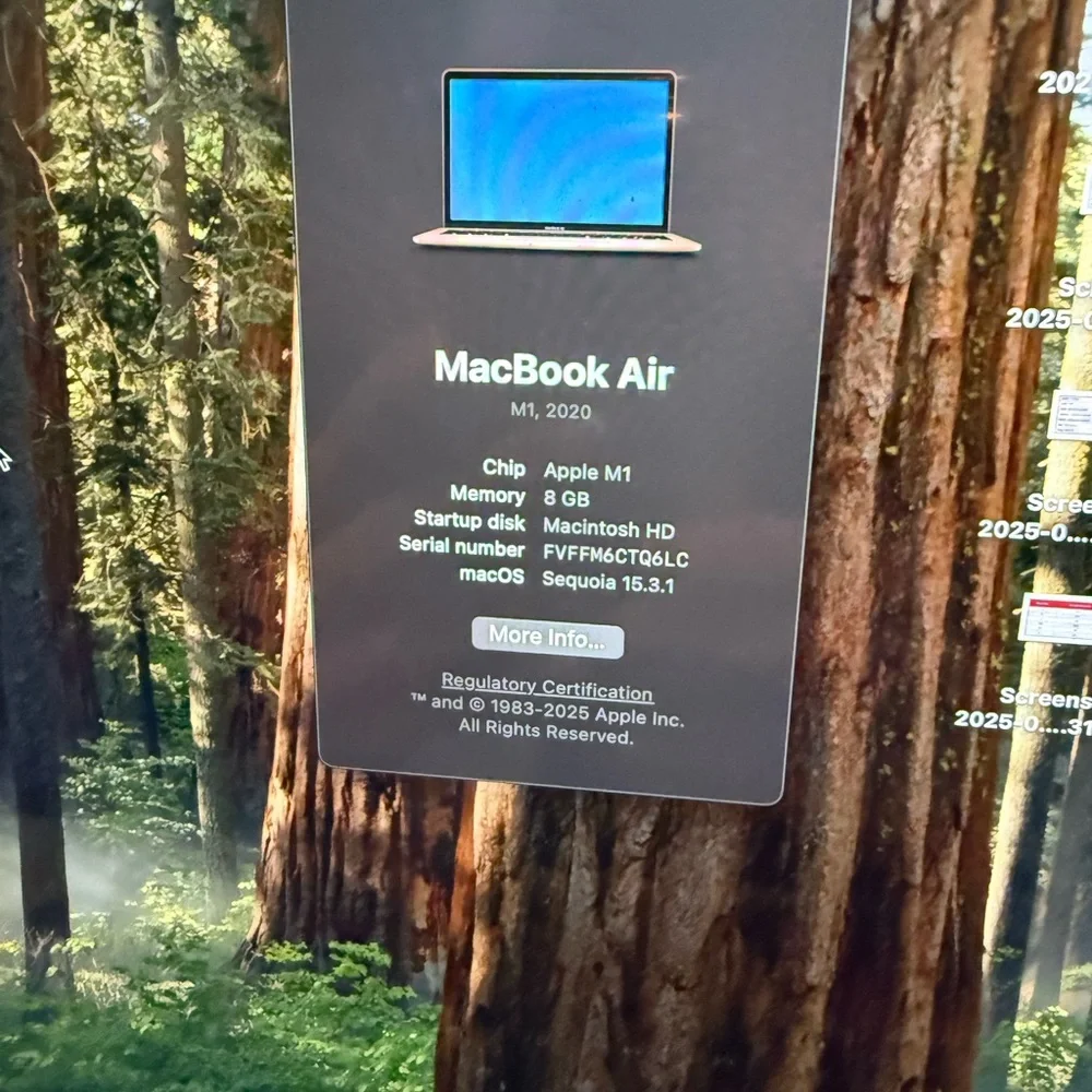 2020 Apple MacBook Air - Rose Gold
